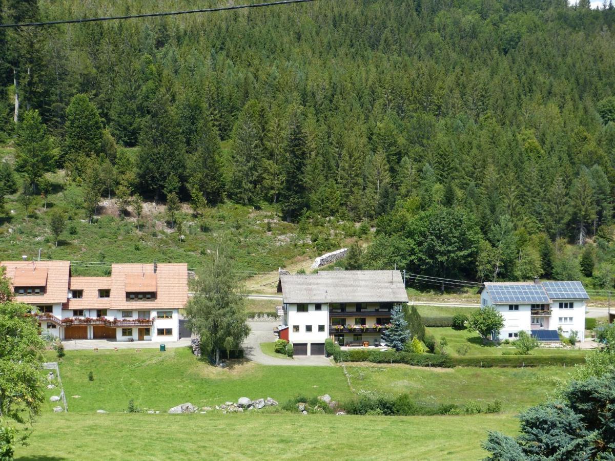 Ferienwohnung Haus Wiesengrund Forbach Buitenkant foto